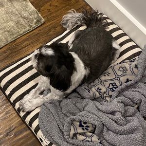 Meet your Posher, Max